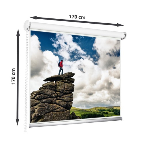 170x170 beamer leinwand - beamer,